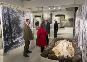 Wyjątkowa wystawa w sieradzkim Muzeum Okręgowym. Eksponaty starsze od Stonehenge