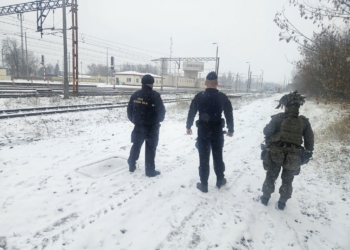 Operacja "TOR" w Łódzkiem. Policja, żołnierze WOT i funkcjonariusze SOK dbają o bezpieczeństwo kolei