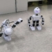 Roboty humanoidalne w Kamieńsku