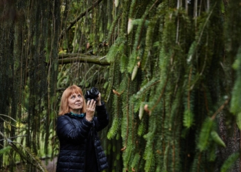 Szczeliny Łodzi | Małgorzata Godlewska, „Drzewostany i mapa drzew" [PODCAST]