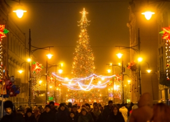 Miejska choinka rozświetliła plac Wolności w Łodzi