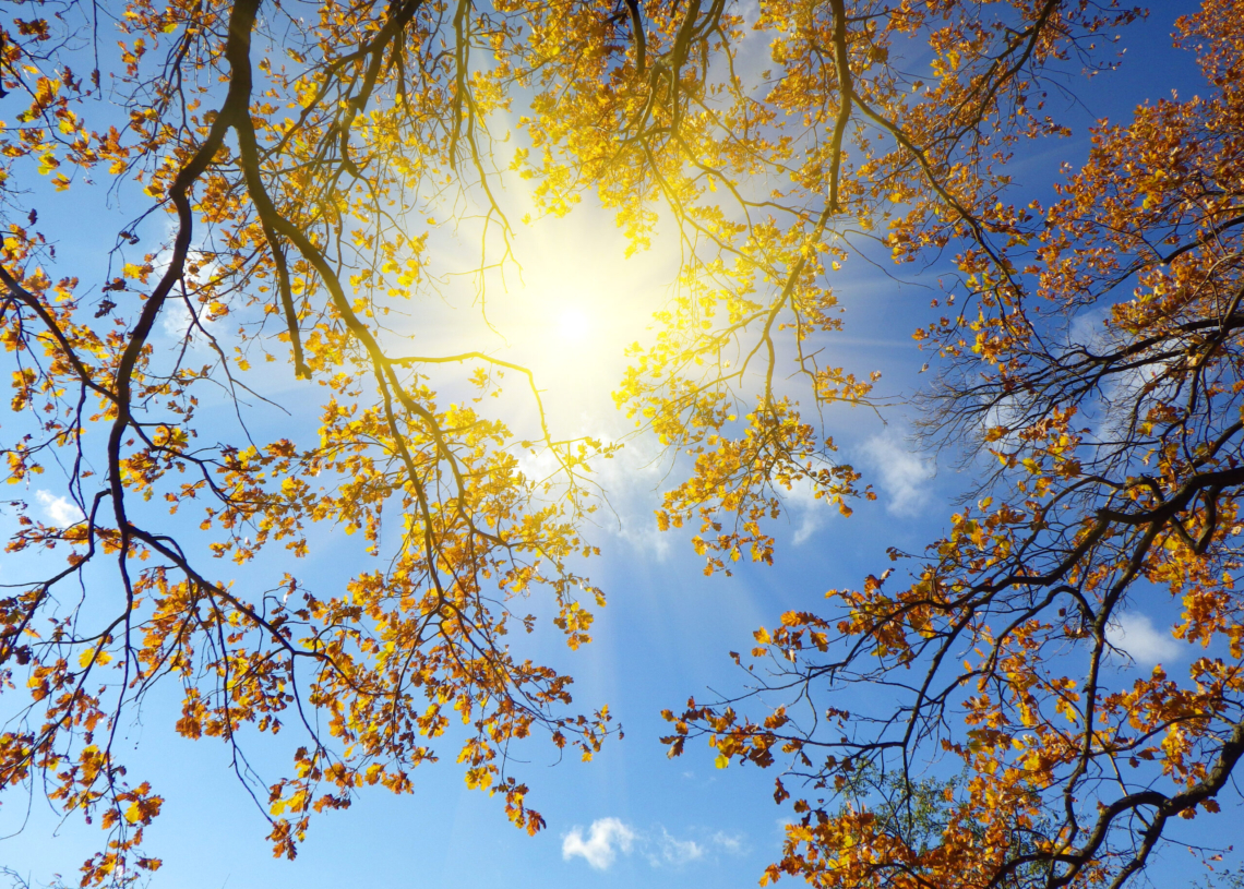 Pogoda na czwartek | Powrót słońca i cieplejszej temperatury [PROGNOZA]