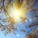 Pogoda na czwartek | Powrót słońca i cieplejszej temperatury [PROGNOZA]