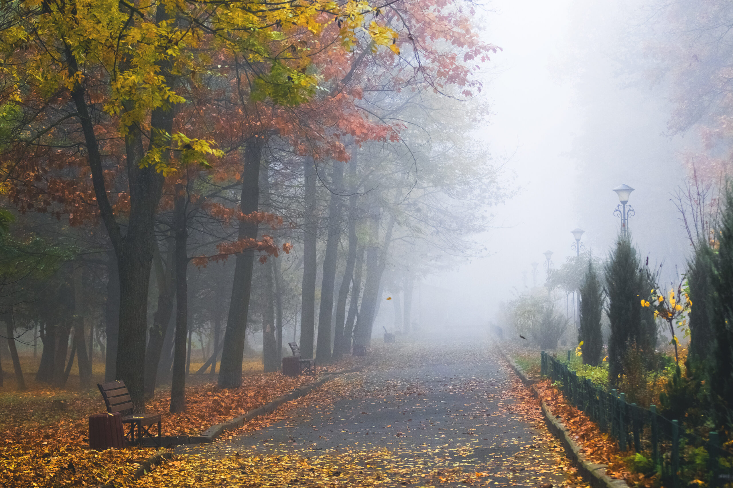 Pogoda na środę | Mżawki i mgły [PROGNOZA]