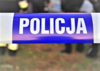 policja tasma