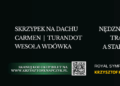 Dwa niezwykłe koncerty w Filharmonii Łódzkiej 29 listopada. Prawdziwe święto muzyki 10 pop opera lodz