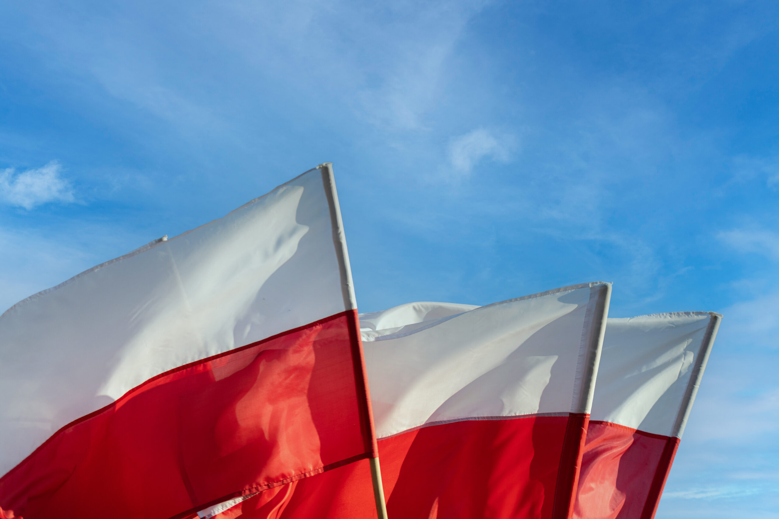 Wyjątkowe Święto Niepodległości w Sulejowie. "Odwiedzi nas sam marszałek Piłsudski"