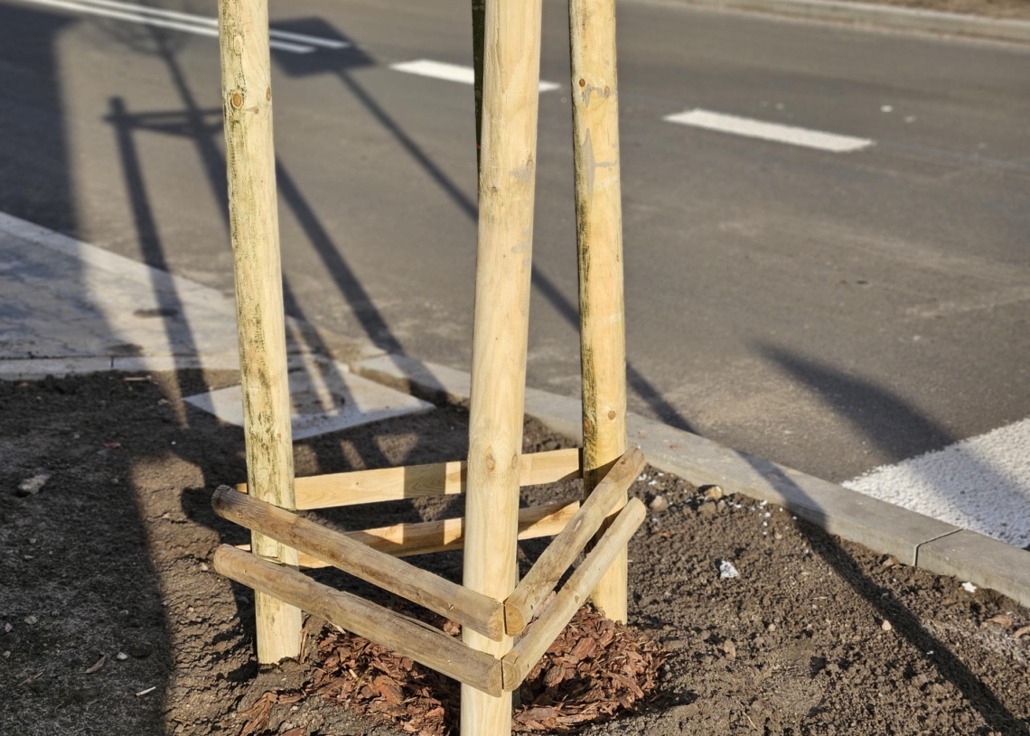 Koniec remontu Tuszyńskiej. Nowa jezdnia, chodniki i zieleń