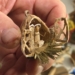 Miniaturowe szopki z naturalnych surowców 9 Miniaturowe szopki z naturalnych surowców
