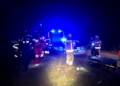 Leżał zmarznięty w lesie. Uratowało go... szczekanie psa 4 Leżał zmarznięty w lesie. Uratowało go... szczekanie psa