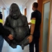 Porwanie goryla. Mundurowi wytropili go w powiecie kutnowskim