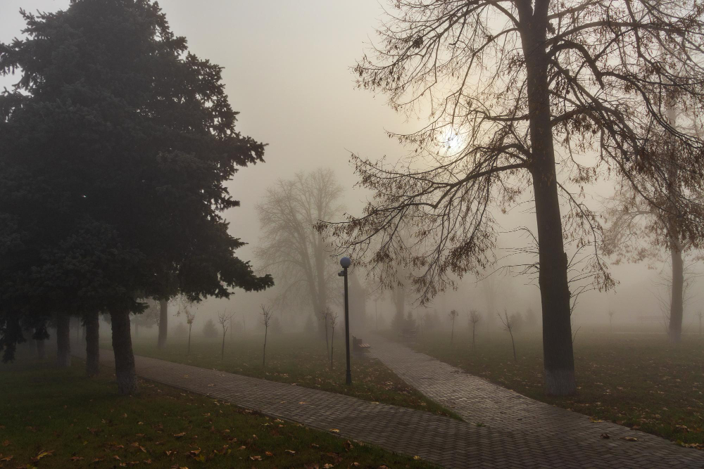 Początek zimy na plusie, ale z mgłami