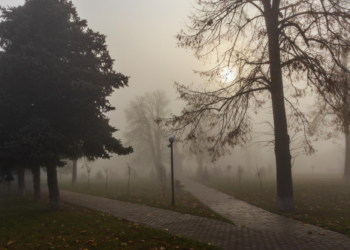 Początek zimy na plusie, ale z mgłami