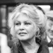 Zmarła Brigitte Bardot 6 Zmarła Brigitte Bardot
