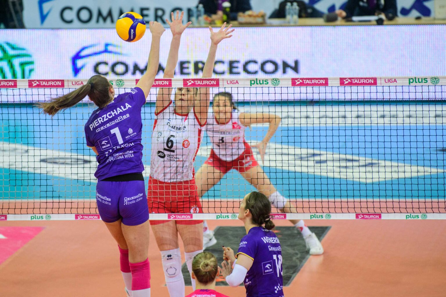 ŁKS Commercecon Łódź vs Developres Rzeszów_1 LKS Commercecon Lodz vs Developres Rzeszow 1