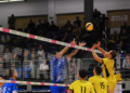 PGE GiEK Skra Belchatow vs Slepsk Malow Suwalki 7 scaled
