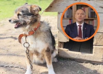 Prezydent Karol Nawrocki zawatował „ustawę łańcuchową”