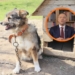 Karol Nawrocki zawetował „ustawę łańcuchową”. Prezydent tłumaczy swoją decyzję 7 Prezydent Karol Nawrocki zawatował „ustawę łańcuchową”