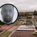Ciało z cmentarza w Żytnie to zaginiony Marek K. Badania DNA potwierdziły tożsamość 9 Ciało z cmentarza w Żytnie to zaginiony Marek K. Badania DNA są jednoznaczne