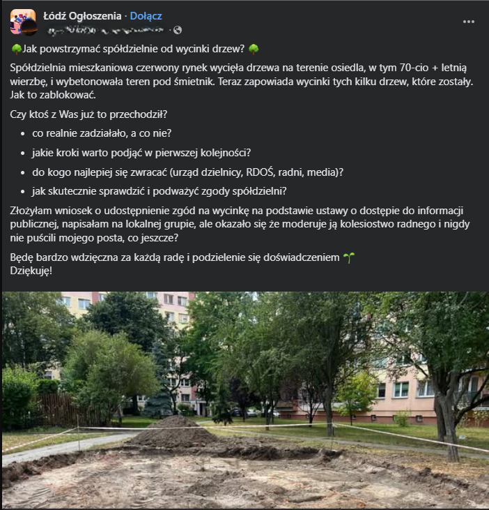 Spór o drzewo w Spółdzielni Mieszkaniowej Czerwony Rynek. Chodzi o wycinkę przy ulicy Mochnackiego