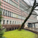 Biblioteka Uniwersytetu Łódzkiego do remontu. Stary budynek przejdzie przebudowę