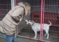image00003