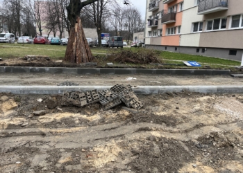 "Zielone" miejsca parkingowe kosztowały pół miliona zł, fot. J. Karp