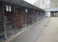 image00008 1