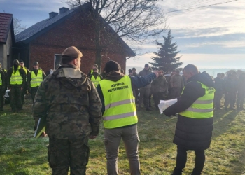 W powiecie piotrkowskim odnaleziono 20 dzików z ASF. Koniec poszukiwań