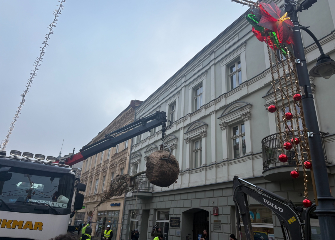Piotrkowska zyskuje nową zieleń. Kilkadziesiąt drzew oraz kwiaty