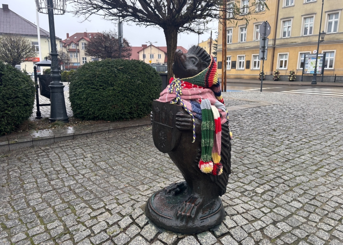 Jeż ze Zgierza zimą nie zmarznie. "Na pewno jest mu teraz ciepło" 1 Jeż ze Zgierza zimą nie zmarznie. "Na pewno jest mu teraz ciepło"