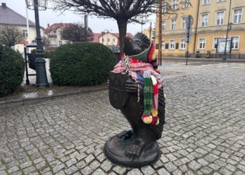 Jeż ze Zgierza zimą nie zmarznie. "Na pewno jest mu teraz ciepło"