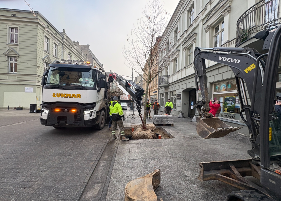 Piotrkowska zyskuje nową zieleń. Kilkadziesiąt drzew oraz kwiaty