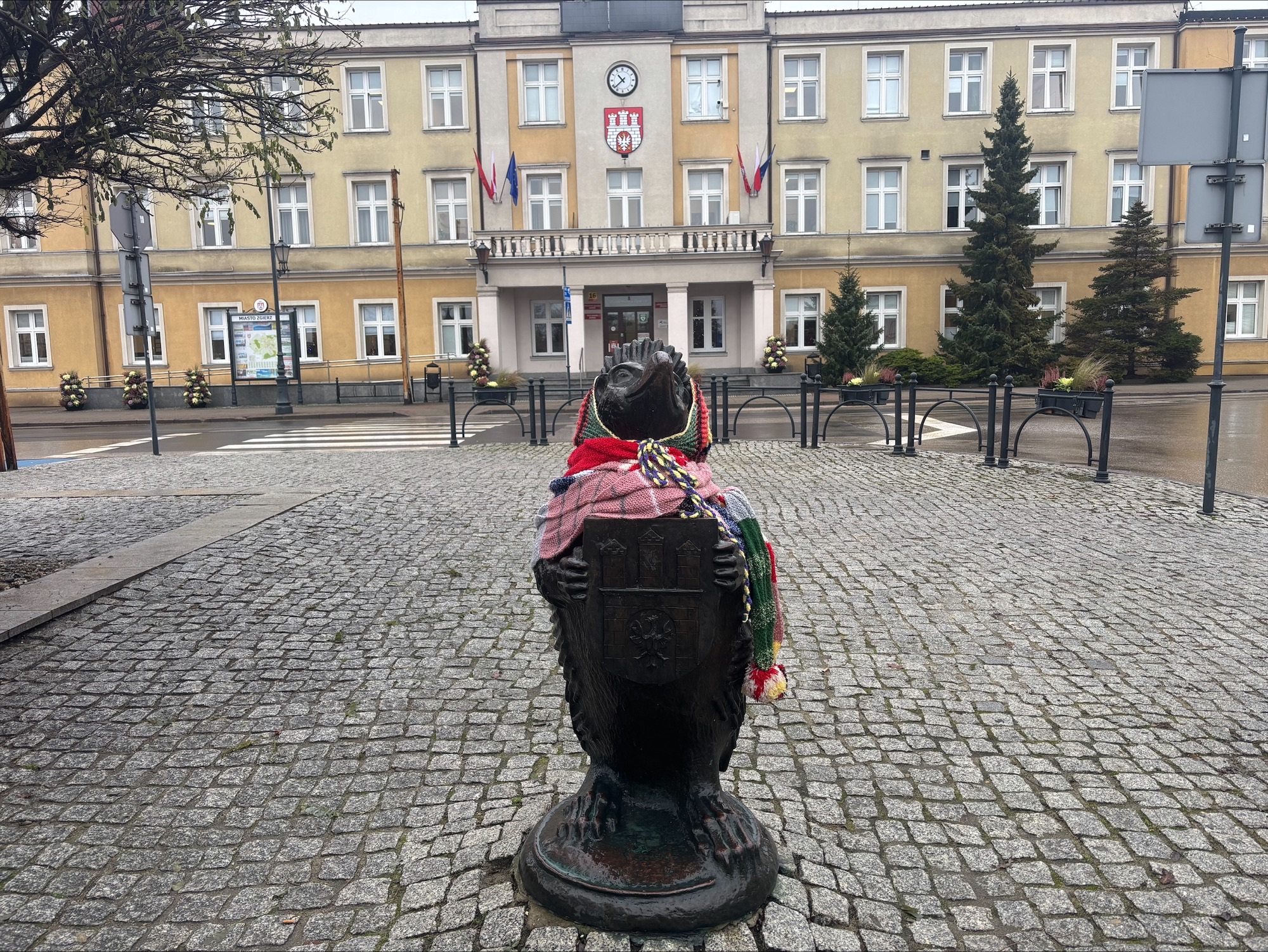 Jeż ze Zgierza zimą nie zmarznie. "Na pewno jest mu teraz ciepło" 2 Jeż ze Zgierza zimą nie zmarznie. "Na pewno jest mu teraz ciepło"