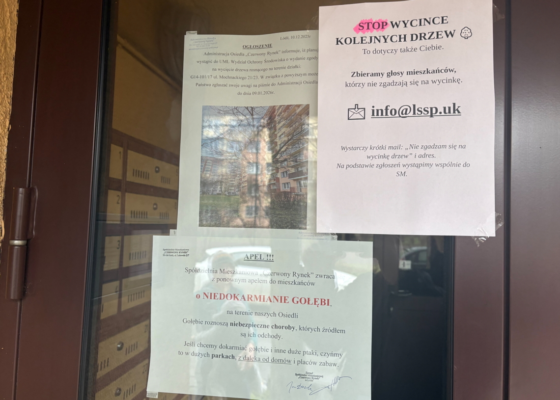 Spór o drzewo w Spółdzielni Mieszkaniowej Czerwony Rynek. Chodzi o wycinkę przy ulicy Mochnackiego