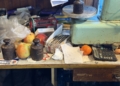 thumbnail IMG 2897