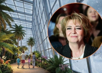 Kontrowersje wokół "Dżungli 360". Hanna Zdanowska przeprasza