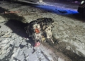 Groźny wypadek na DK71. Ciężarówka zderzyła się z osobówką, nie żyje 47-latek 6 022ff846 81f8 43d9 ab74 ababe470cdce