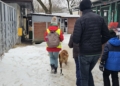 Schronisko w Łodzi znów szuka rodzin dla psów. Wielu chętnych na spacery 3 20260124 100753 scaled