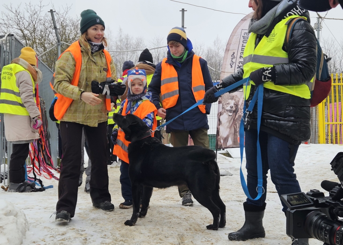 Schronisko w Łodzi znów szuka rodzin dla psów. Wielu chętnych na spacery 1 Schronisko w Łodzi znów szuka rodzin dla psów, fot. S. Potentas
