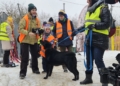 Schronisko w Łodzi znów szuka rodzin dla psów. Wielu chętnych na spacery 9 Schronisko w Łodzi znów szuka rodzin dla psów, fot. S. Potentas
