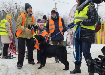 Schronisko w Łodzi znów szuka rodzin dla psów, fot. S. Potentas