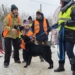 Schronisko w Łodzi znów szuka rodzin dla psów, fot. S. Potentas