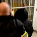 Zaatakowała pracowników szpitala. Grożą jej 3 lata więzienia [WIDEO]