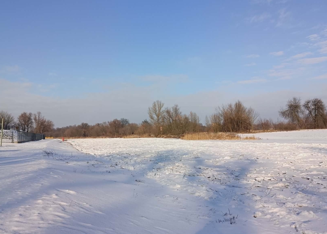 Warta skuta lodem. Mieszkańcy zachwyceni krajobrazem, ale czy są powody do niepokoju?