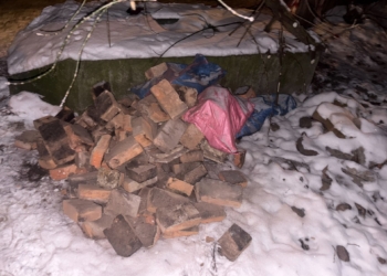 Śmieci na Starym Polesiu w Łodzi. Problem, który wciąż powraca