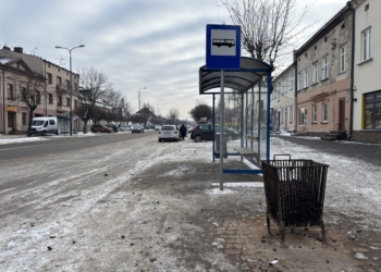 Koksowniki na przystankach w Ozorkowie. Czy wszyscy mieszkańcy popierają ten pomysł?