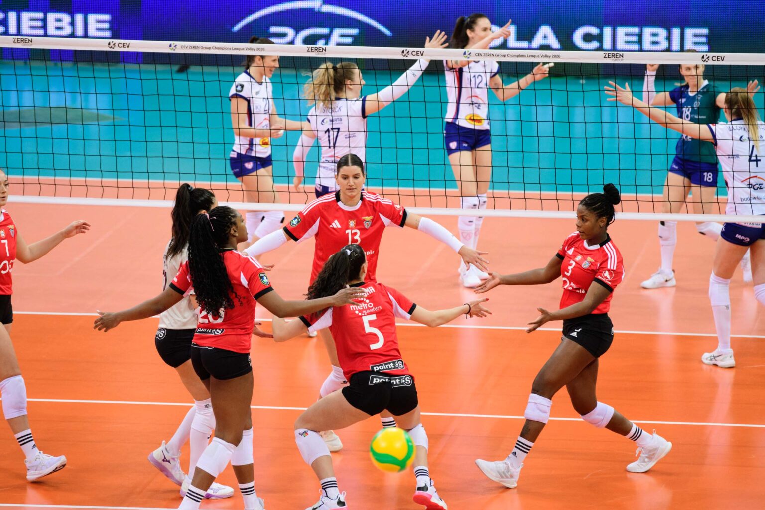 PGE Budowlani Lodz – Benfica Lizbona fot Sebastian Szwajkowski 3