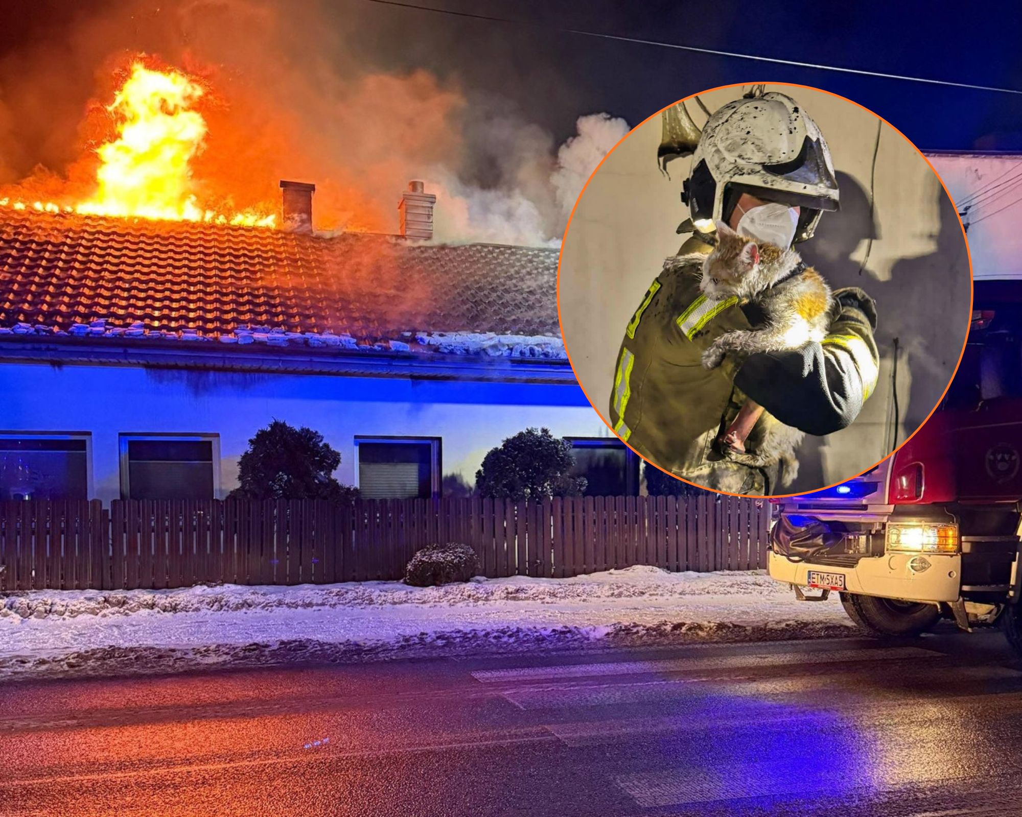 Uratował kota z płonącego domu. Internauci zachwyceni postawą strażaka OSP Ujazd