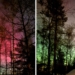 Zorza polarna nad Łodzią i regionem. Magiczny spektakl na polskim niebie